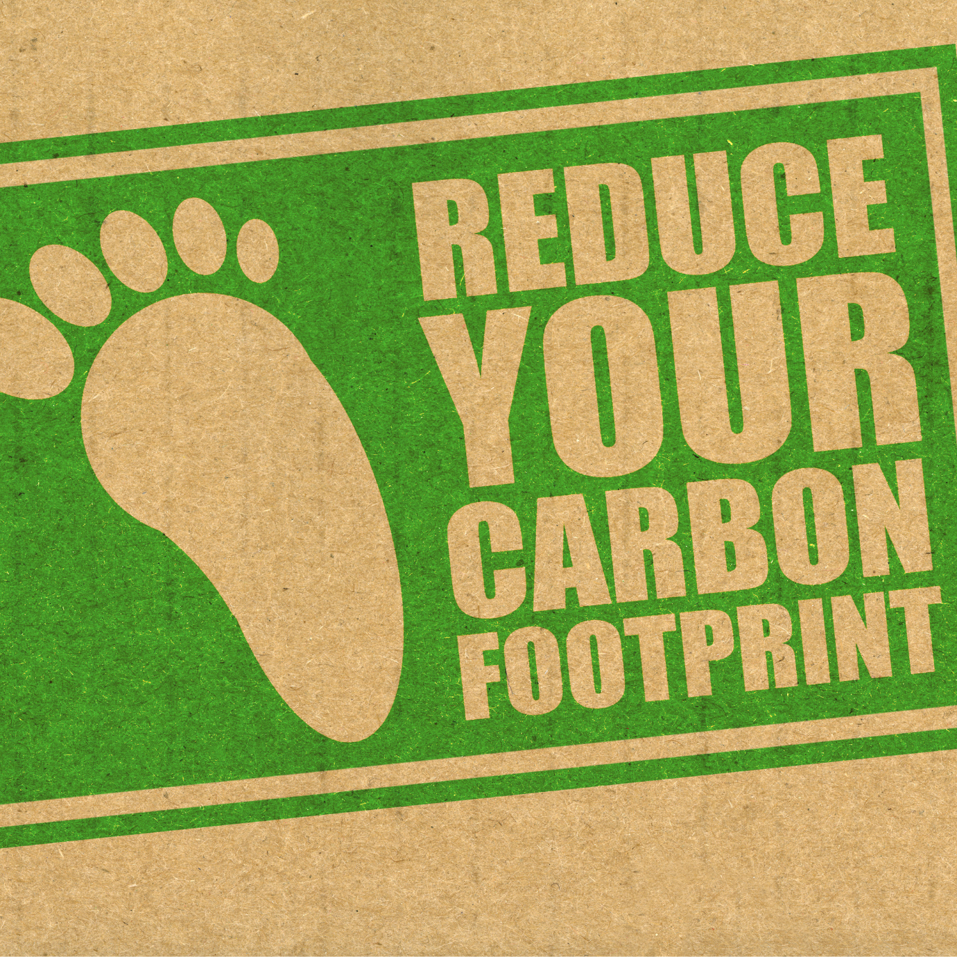5 ways you can decrease your carbon footprint