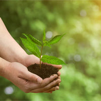 More Blogs about eco cleaning.