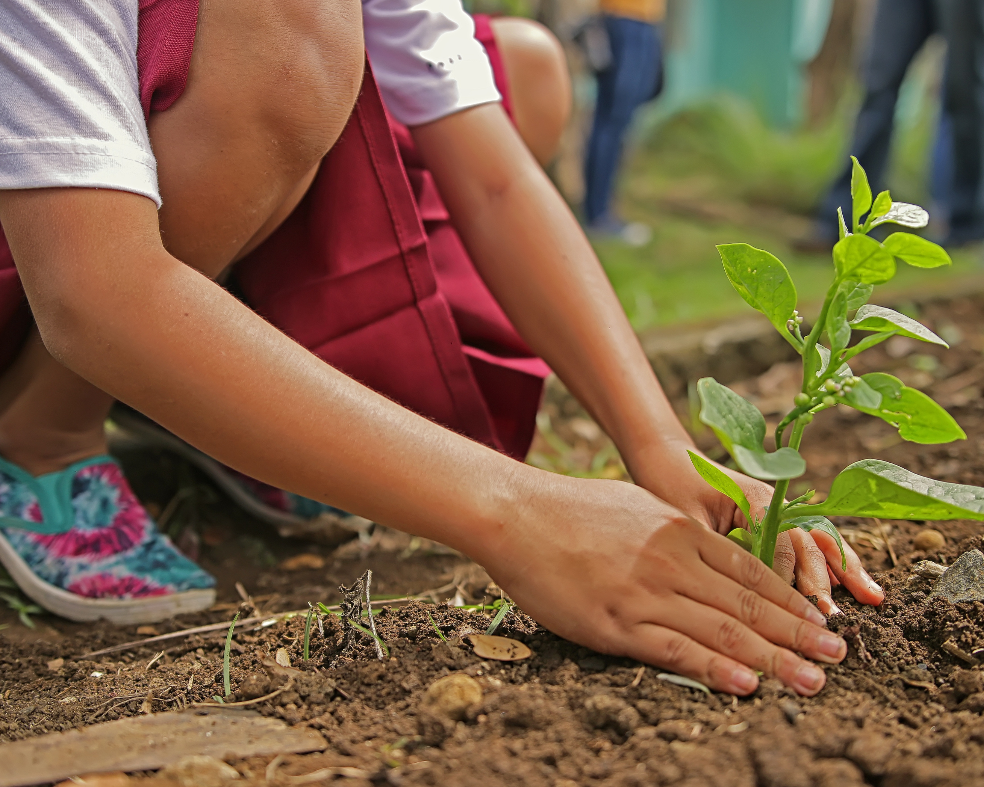 Eco-friendly products, Sustainable living, Green living, Eco-conscious lifestyle, Environmentally friendly, Eco-friendly alternatives, Green products, Zero waste living, Plastic-free living, Sustainable home, Eco-friendly home, Natural cleaning products, Non-toxic cleaning products, Green cleaning, Eco-friendly cleaning supplies, Sustainable household products, Green household products, Eco-friendly kitchen, Sustainable kitchen, Eco-friendly bathroom, Sustainable bathroom, Eco-friendly laundry, Sustainable laundry, Eco-friendly laundry detergent, Natural laundry detergent, Organic cleaning products, Biodegradable cleaning products, Plant-based cleaning products, Cruelty-free cleaning products, Vegan cleaning products, Eco-friendly skincare, Natural skincare, Sustainable skincare, Eco-friendly beauty products, Natural beauty products, Sustainable beauty products, Eco-friendly cosmetics, Natural cosmetics, Sustainable cosmetics, Eco-friendly fashion, Sustainable fashion, Ethical fashion, Eco-friendly clothing, Sustainable clothing, Organic clothing, Fair trade clothing, Eco-friendly accessories, Sustainable accessories, Recycled materials, Upcycled products, Reusable products, Renewable energy, Solar power, Wind energy, Hydroelectric power, Geothermal energy, Energy-efficient appliances, Energy-saving tips, Green building, Sustainable architecture, Passive solar design, Green gardening, Organic gardening, Permaculture, Composting, Rainwater harvesting, Sustainable agriculture, Organic farming, Fair trade products, Ethical consumerism, Conscious consumerism, Low-impact living, Minimalist lifestyle, Simple living, Mindful living, Eco-friendly travel, Sustainable tourism, Ecotourism, Responsible travel, Green transportation, Electric vehicles, Hybrid vehicles, Bike commuting, Public transportation, Walkable communities, Urban gardening, Community-supported agriculture (CSA), Farmers markets, Food co-ops, Locally sourced products, Sustainable seafood, Organic food, Non-GMO food, Plant-based diet, Vegetarianism, Veganism, Meatless Monday, Climate change, Global warming, Carbon footprint, Carbon offset, Renewable resources, Sustainable forestry, Wildlife conservation, Biodiversity, Habitat preservation, Ocean conservation, Marine conservation, Coral reef conservation, Rainforest conservation, Sustainable development, Green business, Corporate social responsibility, Environmental stewardship, Environmental activism, Climate activism, Green initiatives, Environmental education, Sustainability education, Green technology, Sustainable design, Energy conservation, Water conservation, Waste reduction, Recycling, Upcycling, Circular economy, Closed-loop systems, Green jobs, Sustainable careers, Environmental science, Green chemistry, Ecological economics, Environmental policy, Green legislation, Sustainable cities, Smart cities, Green building certification, LEED certification, Energy Star certification, Eco-friendly certification, Carbon-neutral, Carbon footprint calculator, Eco-labels, Fair trade certification, Certified organic, Certified sustainable, Environmental impact assessment, Life cycle assessment, Environmental management, Green procurement, Environmental auditing, Eco-efficiency, Sustainable supply chain, Sustainable packaging, Biodegradable packaging, Compostable packaging, Renewable materials, Recycled content, Energy-efficient lighting, Green energy credits, Carbon offset programs, Environmental awareness, Earth Day, World Environment Day, National Clean Energy Week, International Day for Biological Diversity, Global Recycling Day, Zero Waste Week, Plastic-Free July, Clean Energy Week, Green Living Expo, Eco-friendly fair, Sustainable living festival, Earth Hour, Carbon Neutrality, Carbon Footprint Reduction, Carbon Sequestration, Eco-Friendly Investment, Eco-Friendly Banking, Sustainable Agriculture Practices, Regenerative Agriculture, Urban Farming, Sustainable Gardening, Eco-Tourist Destination, Eco-Friendly Accommodation, Eco-Friendly Transportation Options, Eco-Friendly Cities, Eco-Friendly Communities, Sustainable Development Goals (SDGs), Circular Design, Eco-Friendly Architecture, Sustainable Building Materials, Eco-Friendly Office, Green Office, Sustainable Office, Energy-Efficient Office, Paperless Office, Eco-Friendly Printing, Sustainable Packaging Solutions, Green Product Certification, Energy Star Rating, WaterSense Certification, Green Cleaning Certification, LEED Certification, Environmental Compliance, Pollution Prevention, Hazardous Waste Management, Greenhouse Gas Reduction, Renewable Energy Incentives, Green Tax Credits, Environmental Grants, Clean Energy Grants, Environmental Remediation, Environmental Protection Agency (EPA), Sustainable Development Commission, Environmental Quality Standards, Clean Air Act, Clean Water Act, Endangered Species Act, National Environmental Policy Act, Kyoto Protocol, Paris Agreement, Sustainable Development Goals (SDGs), Ecological Footprint, Ecological Restoration, Habitat Conservation, Sustainable Fisheries, Sustainable Forestry Practices, Water Stewardship, Ecosystem Services, Ecosystem Management, Wetland Conservation, Desertification Control, Land Degradation Neutrality, Marine Protected Areas, Coral Reef Protection, Ocean Acidification, Ocean Pollution, Marine Debris Cleanup, Plastic Pollution Reduction, Single-Use Plastic Bans, Plastic Bag Bans, Plastic Bottle Bans, Plastic Straw Bans, Plastic Recycling Initiatives, Plastic-Free Initiatives, Ocean Cleanup Projects, Beach Cleanup Events, River Cleanup Projects, Lake Cleanup Events, Wetland Restoration Projects, Reforestation Programs, Afforestation Projects, Urban Tree Planting, Carbon Sequestration Projects, Carbon Offsetting Programs, Carbon Capture and Storage, Renewable Energy Projects, Solar Energy